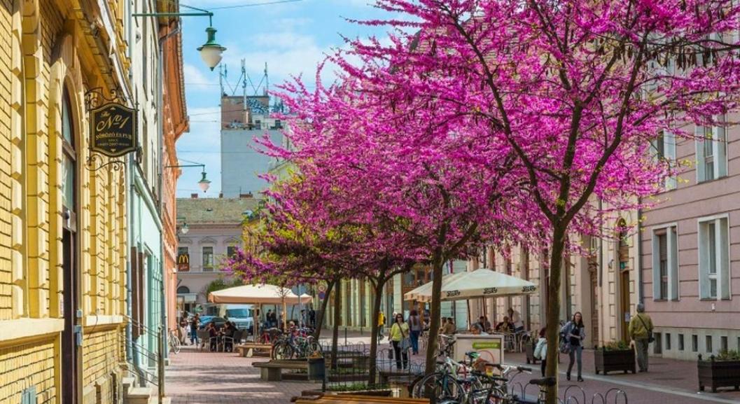 Downtown Dream Apartmans Szeged Ngoại thất bức ảnh