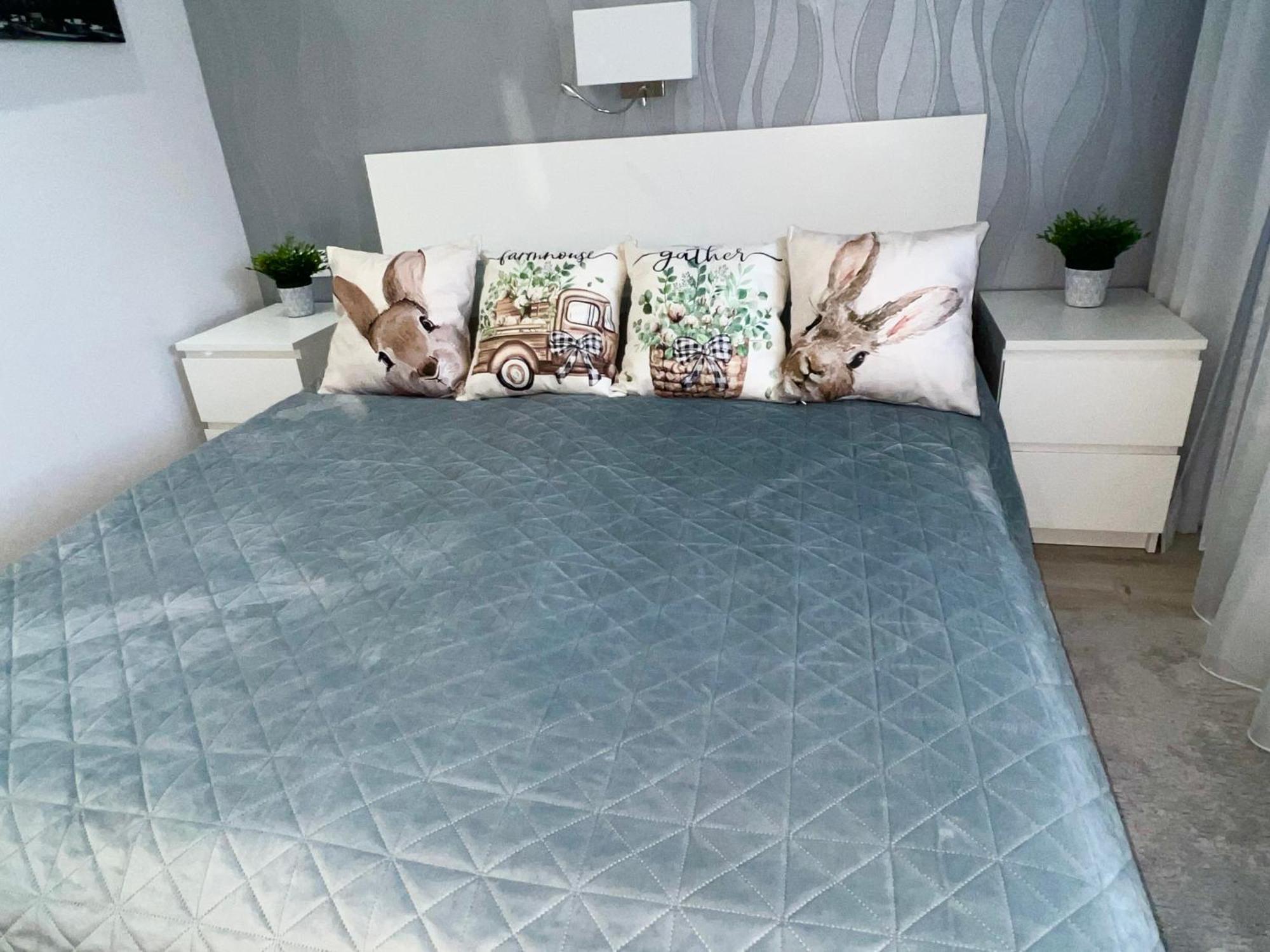 Downtown Dream Apartmans Szeged Ngoại thất bức ảnh